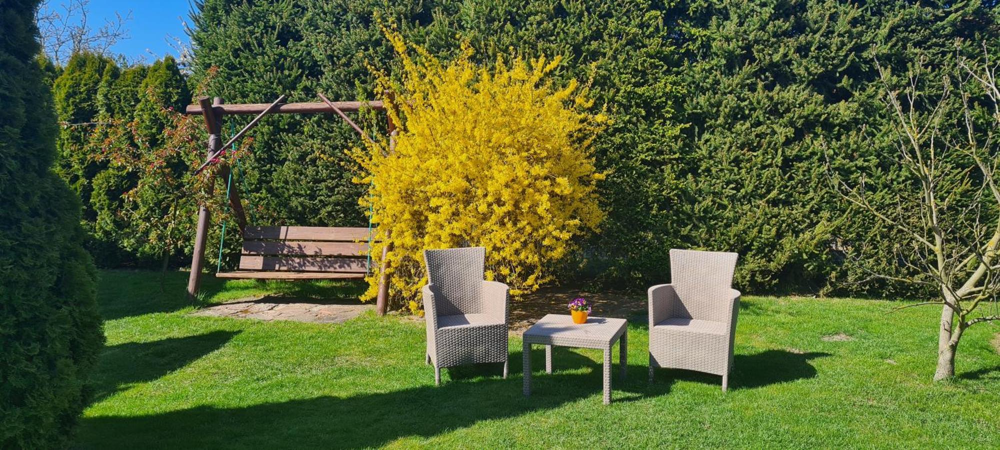 Domki I Pokoje U Asi Stegna  Exterior foto